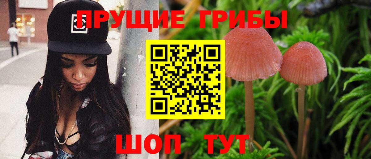 Галлюциногенные грибы MAGIC MUSHROOMS  Вход с VPN  продажа наркотиков  Бийск 