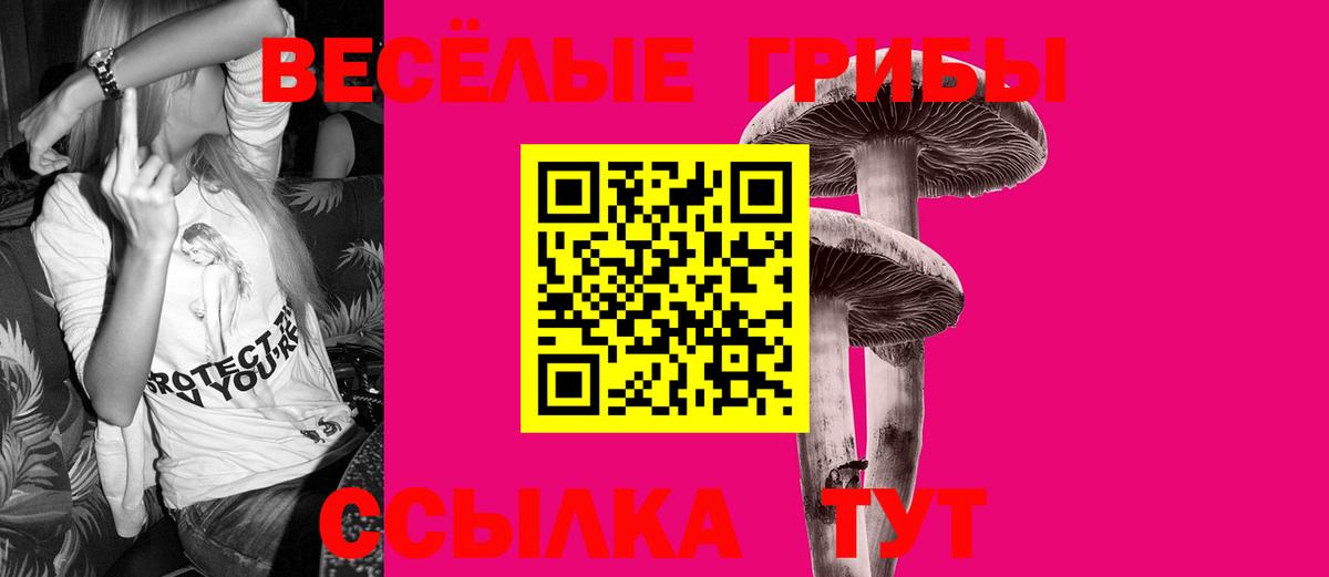 Галлюциногенные грибы MAGIC MUSHROOMS Бийск